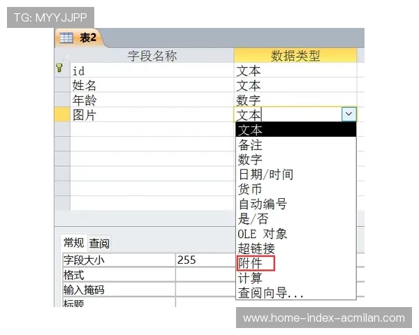 冬窗押宝策略：哪些属性更值得长期持有？