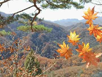三国混合接力强强对话 节奏决定胜负，有组合技能的三国回合游戏