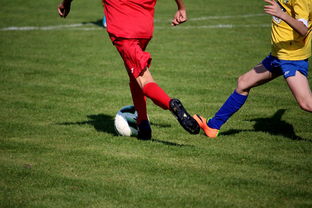 世界马拉松大满贯赛事上海站开跑，世界马拉松大满贯赛事上海站开跑时间